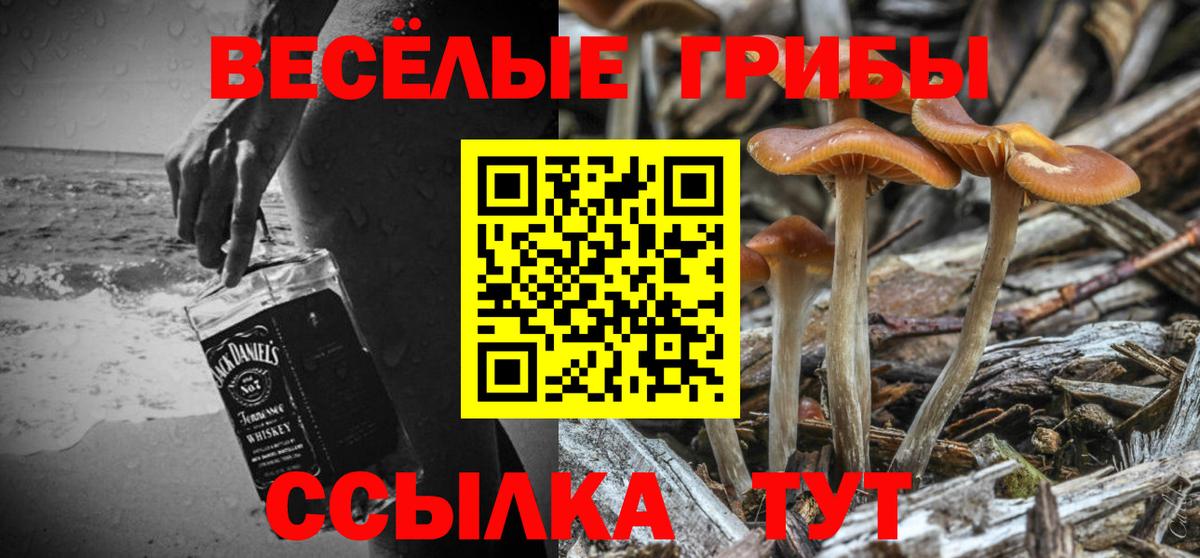 Псилоцибиновые грибы мицелий Удомля