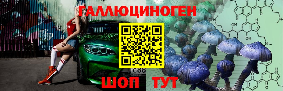Псилоцибиновые грибы мицелий  Вход с VPN  цена наркотик  Удомля  Псилоцибиновые грибы Psilocybine cubensis 